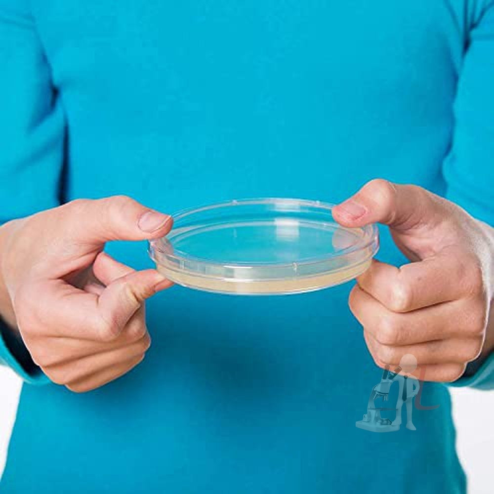 SPYLX High Quality Borosilicate Glass Petri dish - 100 mm Pack of 5 - Laboratorydeal