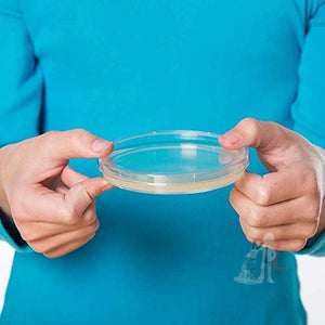 Scifa High Quality Borosilicate Glass Petri dish - 100 mm Pack of 5 - Laboratorydeal