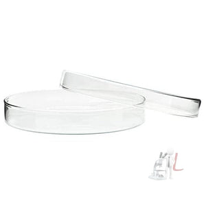 Scifa High Quality Borosilicate Glass Petri dish - 100 mm Pack of 5 - Laboratorydeal