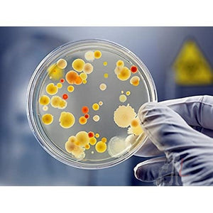 Scifa High Quality Borosilicate Glass Petri dish - 100 mm Pack of 5 - Laboratorydeal