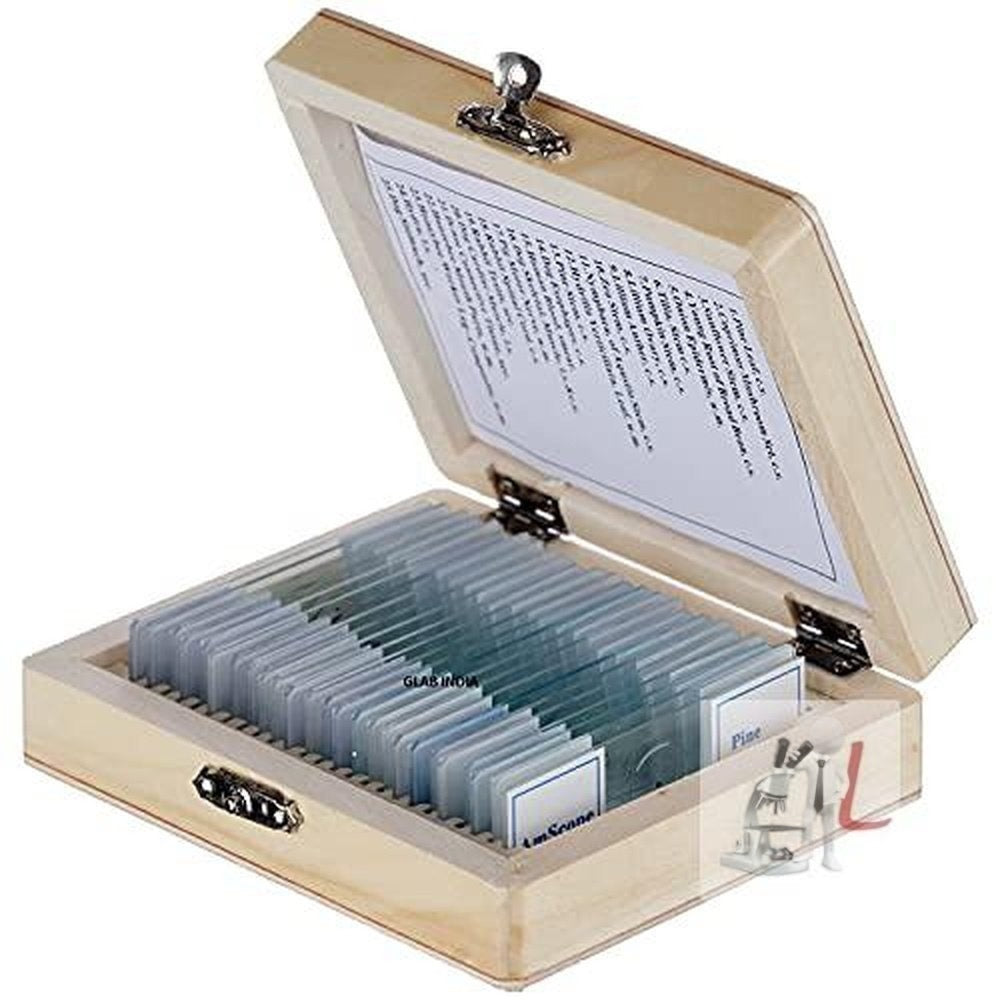 Slide Box Price 25 Prepared Slides of Zoology - Laboratorydeal
