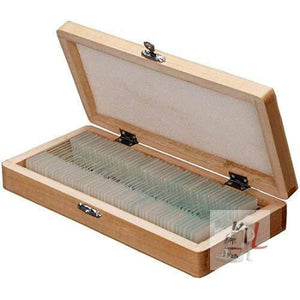 Slide Box Price 50 Prepared Slides, Green - Laboratorydeal