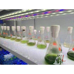 Tissue Culture Rack- Tissue Culture lab Equipment