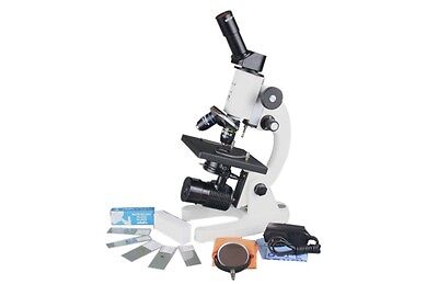 Student Compound Microscopes: A Comprehensive Guide for Beginners - laboratorydeal