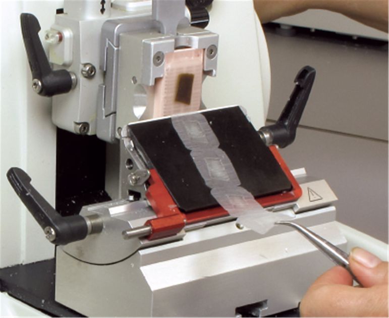 Microtomes and Staining Techniques: Essential Methods for Histology - laboratorydeal