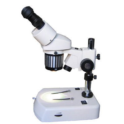 Research Microscopes: Unveiling the Secrets of Science - laboratorydeal