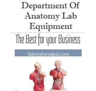 Department of Anatomy Lab Equipment – Essential Anatomy Lab Equipment for Students and Professionals - laboratorydeal