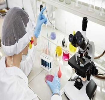 Pharma Lab Equipment Collection for Enhanced Research Productivity - laboratorydeal