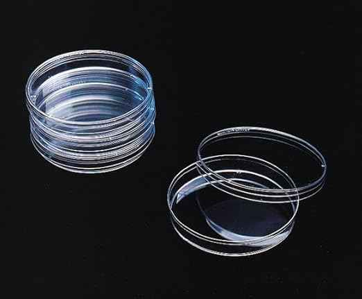 Borosilicate Glass Petri dish - 150mm, Pack of 5