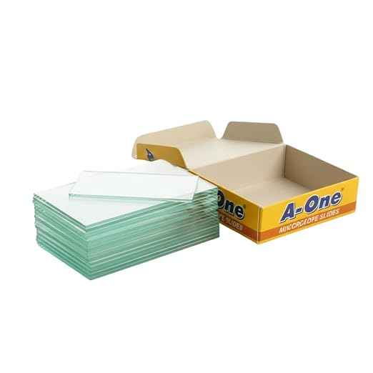 Microscope Slides – Premium Glass Slides for Lab, School & Research Use, Clear & Durable, Accurate Observations