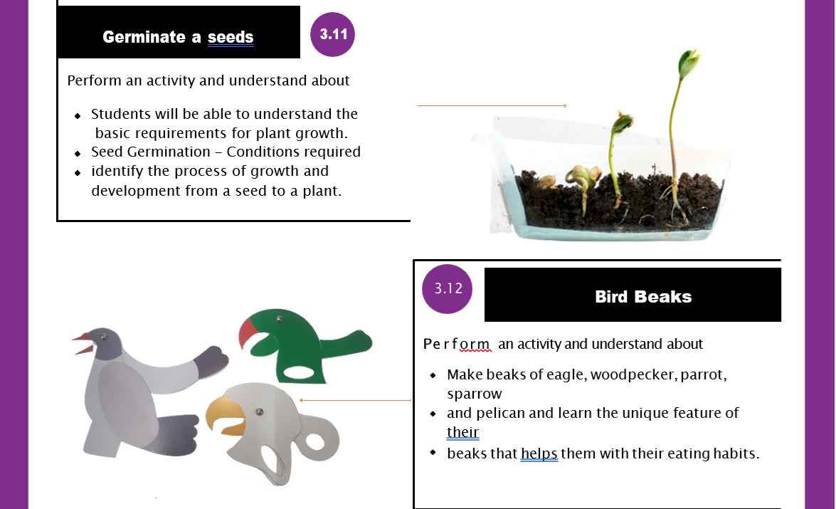 23 Fun Class 3 Educational Activities at Affordable Prices - laboratorydeal