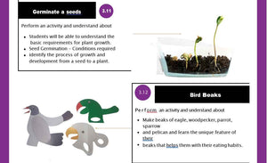 23 Fun Class 3 Educational Activities at Affordable Prices - laboratorydeal