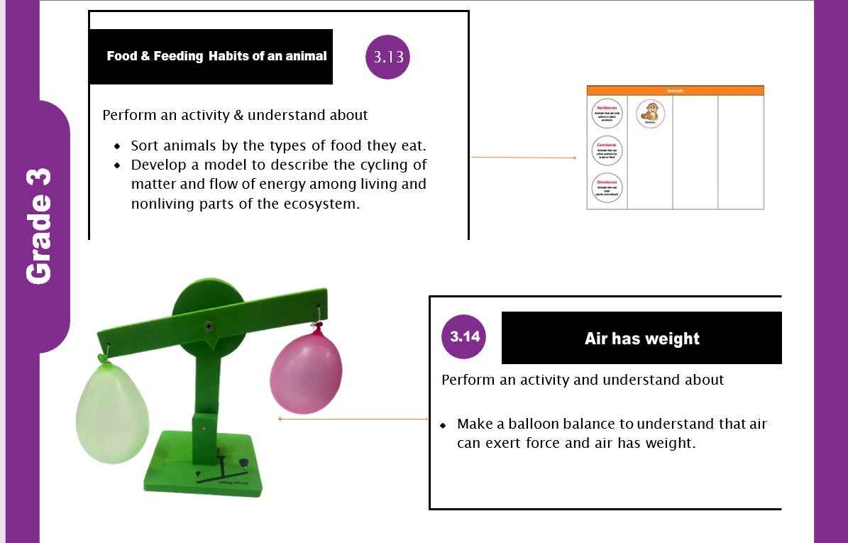 23 Fun Class 3 Educational Activities at Affordable Prices - laboratorydeal