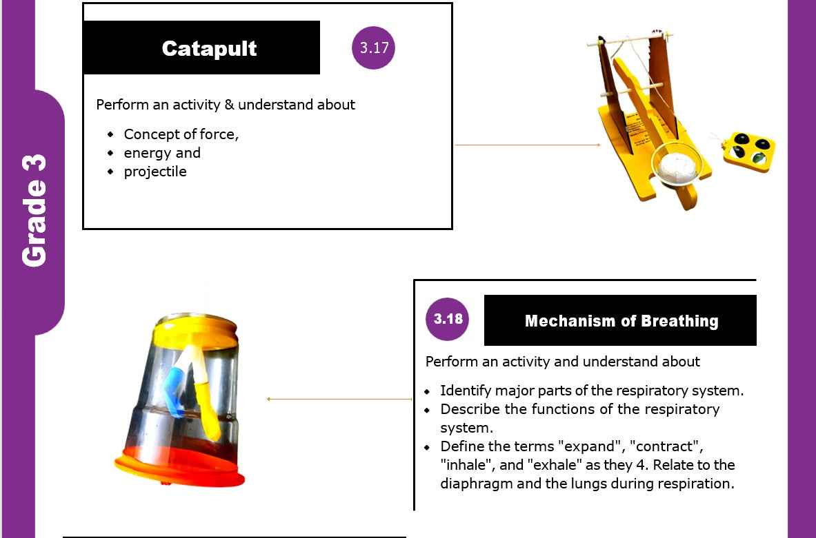 23 Fun Class 3 Educational Activities at Affordable Prices - laboratorydeal