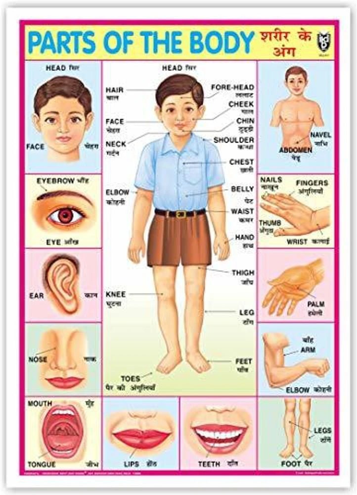 25 Fun Educational Toys for First Graders - Activity Kit for 1st class - laboratorydeal