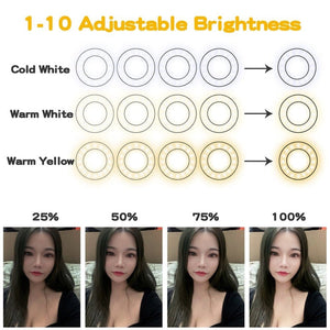 3.5 inch Adjustable Live Broadcast Aluminum Alloy Clip LED Fill Light with Phone Clamp - laboratorydeal