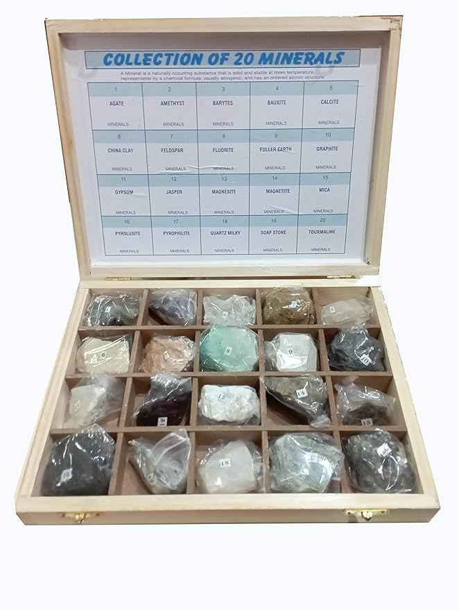 Collection of 20 Minerals Specimens in Wooden Box for School Education Samples Collections Geology Earth Science Stones Mineral Memory Activity Geology Great Educational