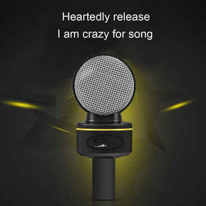 Compatible with PC and Mac for Live Broadcast Show, KTV, etc. - laboratorydeal