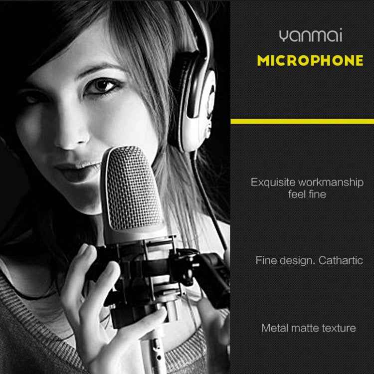 Compatible with PC and Mac for Live Broadcast Show, KTV, etc. - laboratorydeal