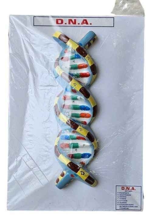 DNA On Board On Board 10 x 14″ Superier Quality/LABPRO LABPRO