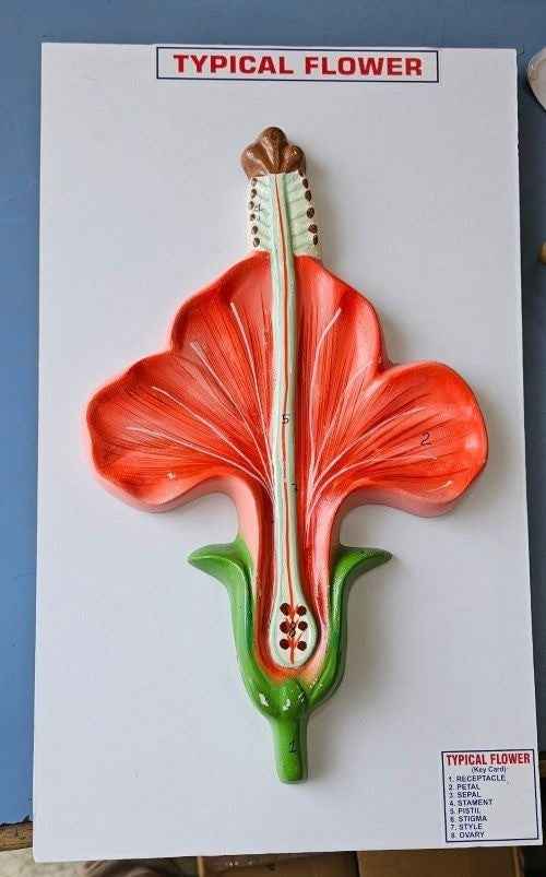 Flower On Board On Board 10 x 14″ Superier Quality/LABPRO LABPRO