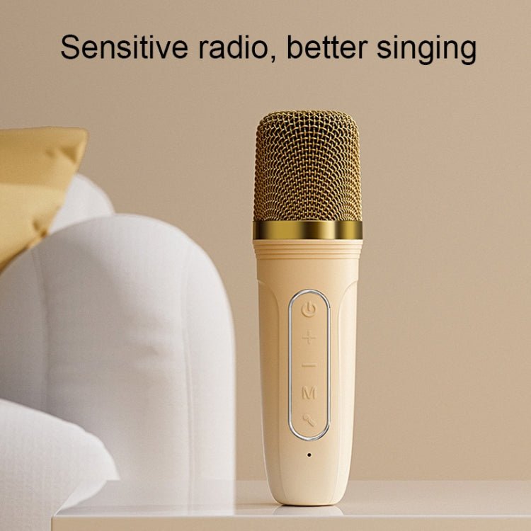 Havit P1 Portable Singing Home Wireless Bluetooth Speaker Microphone Set, Dual - microphone - laboratorydeal