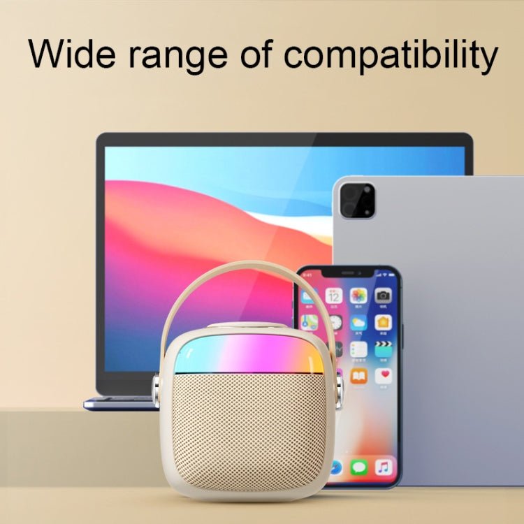 Havit P1 Portable Singing Home Wireless Bluetooth Speaker Microphone Set, Dual - microphone - laboratorydeal