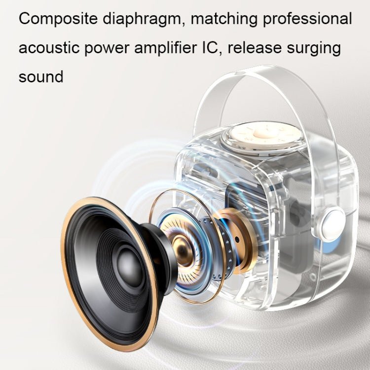 Havit P1 Portable Singing Home Wireless Bluetooth Speaker Microphone Set, Dual - microphone - laboratorydeal