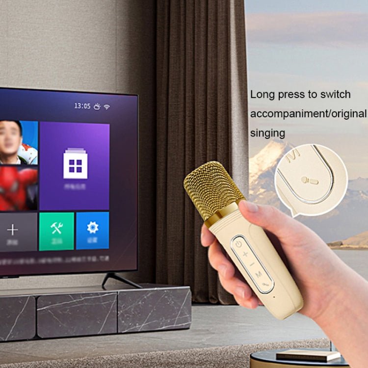 Havit P1 Portable Singing Home Wireless Bluetooth Speaker Microphone Set, Dual - microphone - laboratorydeal