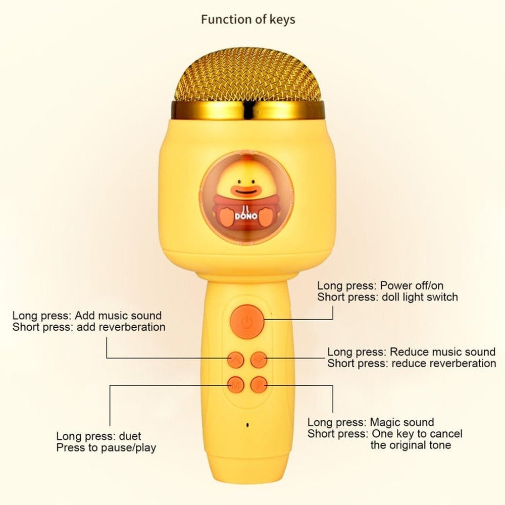 ICARER FAMILY F816 Karaoke Microphone Speaker Home Bluetooth Wireless Microphone - laboratorydeal