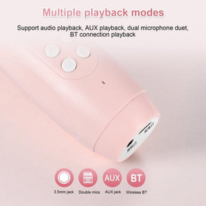 ICARER FAMILY F816 Karaoke Microphone Speaker Home Bluetooth Wireless Microphone - laboratorydeal