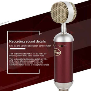 Logitech Blue Spark SL Network K Song Anchor Equipment Condenser Recording Microphone, Blue Spark SL - laboratorydeal