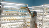 Tissue Culture Lab Equipment Supplier - Leading Manufacturer Supplier in