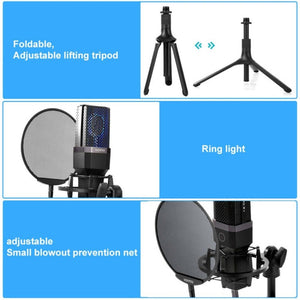 Yanmai X1 4 in 1 Foldable Lifting Professional Desktop Live Broadcast Cardioid Pointing Condenser Recording Microphone Set with Blowout Net & Shockproof Mount & 1.8m USB - C / Type - C Cable, X1 - laboratorydeal