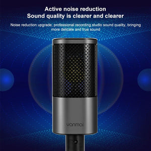 Yanmai X2 Active Noise Reduction Cardioid Pointing Capacitive Recording Microphone Set with Blowout Net & Cantilever Bracket & 1.7m 3.5mm Interface Cable, X2 - laboratorydeal
