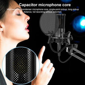 Yanmai X2 Active Noise Reduction Cardioid Pointing Capacitive Recording Microphone Set with Blowout Net & Cantilever Bracket & 1.7m 3.5mm Interface Cable, X2 - laboratorydeal