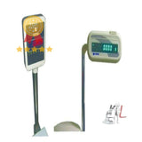 Auxiliary Display Attached To The Balance On The Pole
