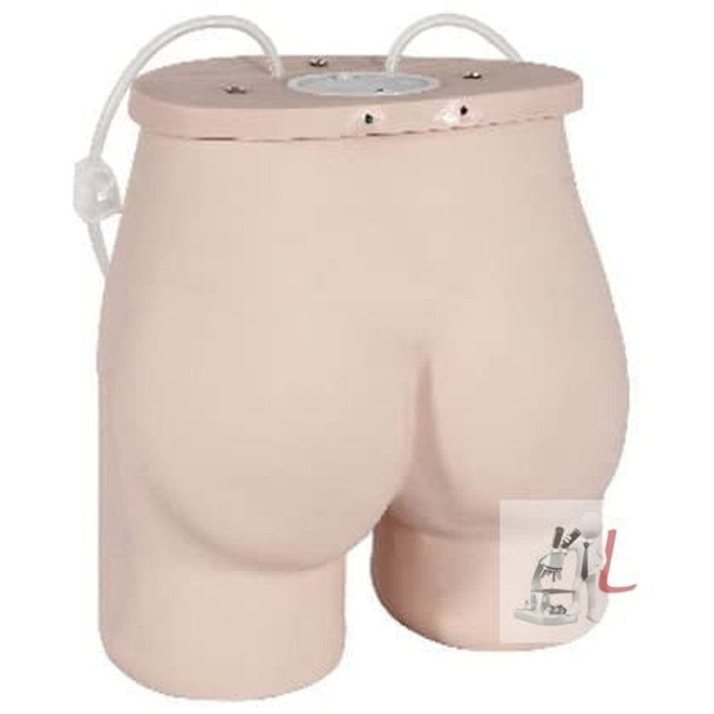 Buttock Intramuscular Injection Training Model- 