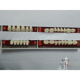 Denture Teeth, Acrylic Set A1 14- 