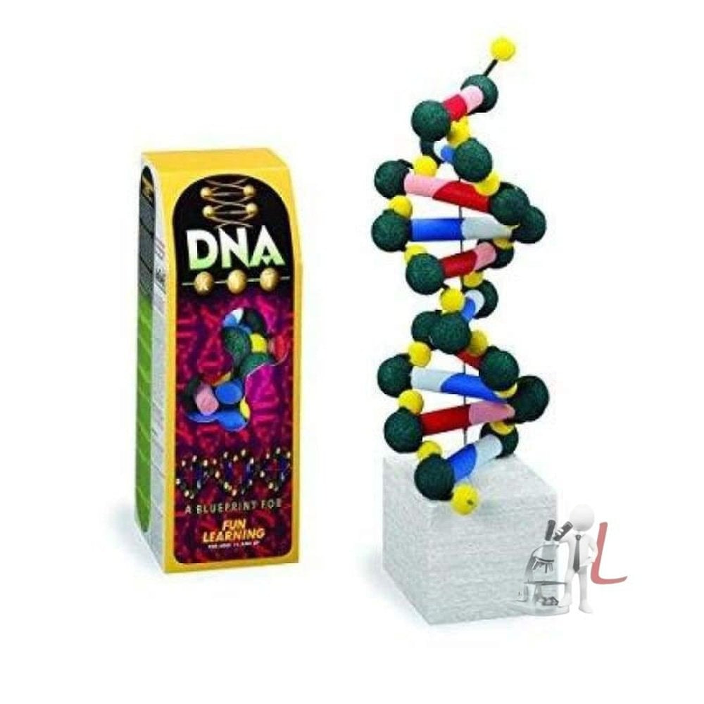 Dna Activity Model 0001 by labpro - Laboratorydeal