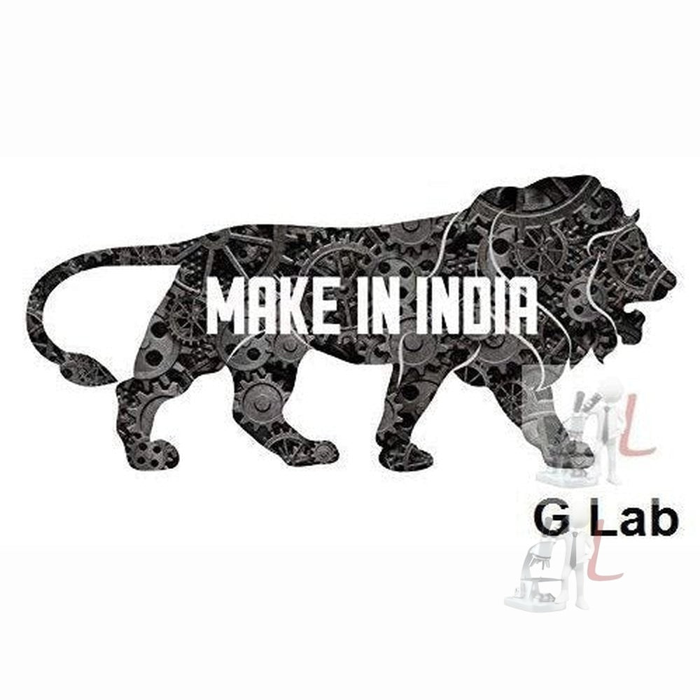 G LAB Human Respiratory System Model on Base - Laboratorydeal