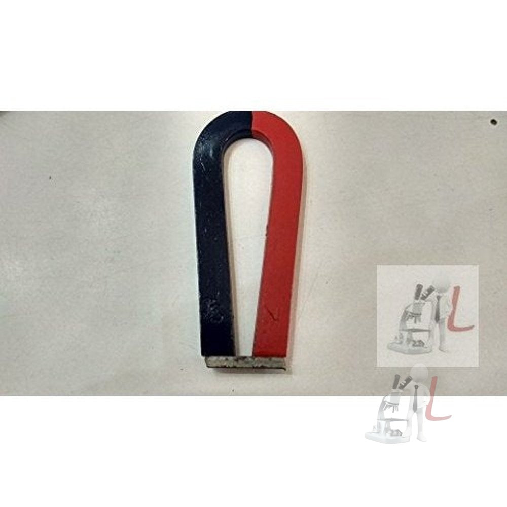 Horseshoe Magnet Price U shape (100x12x6mm) - Laboratorydeal