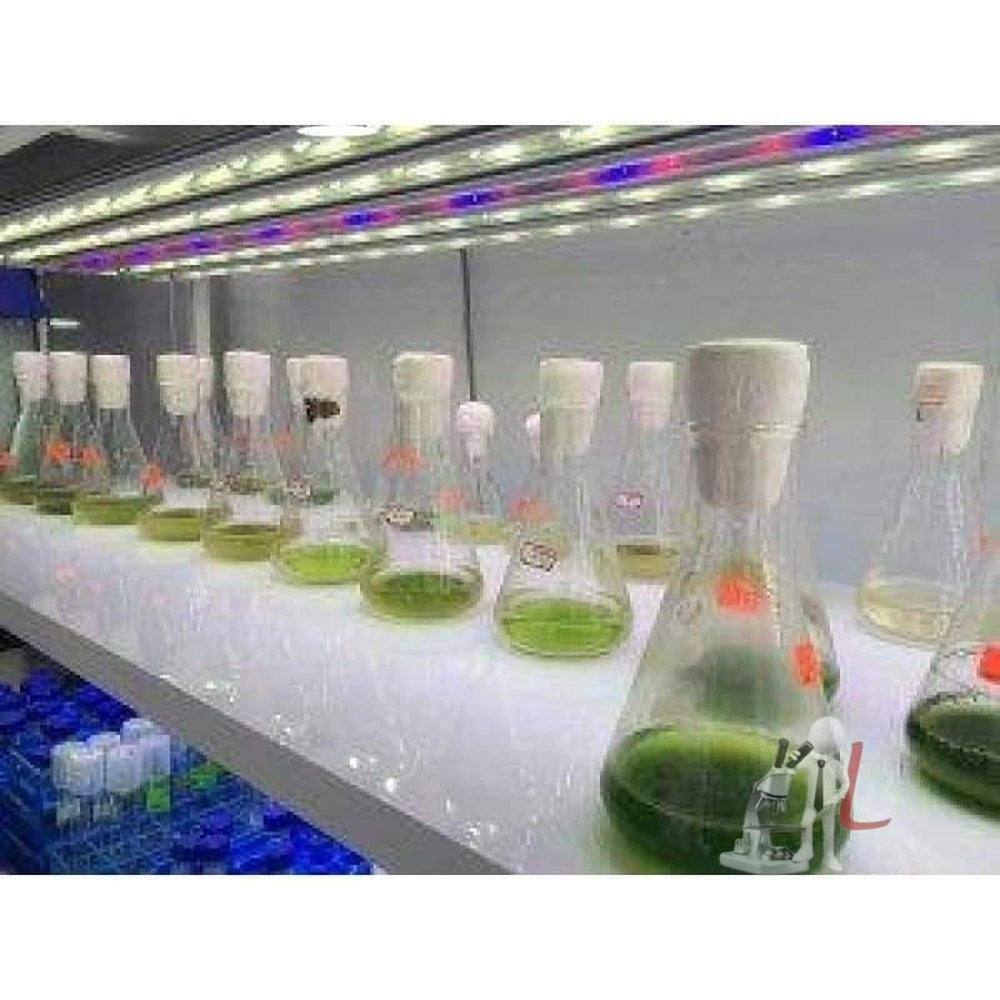 Laboratory Tissue Culture Rack - Laboratorydeal