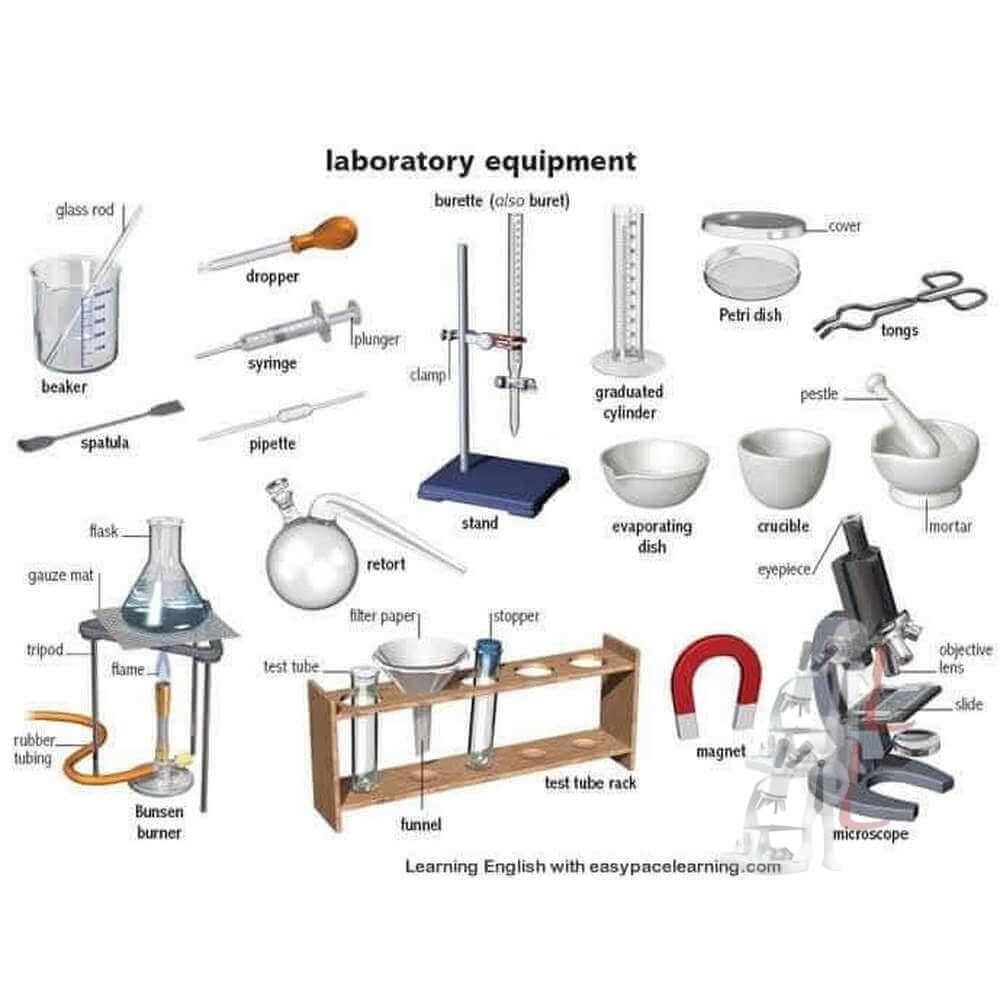 Science Laboratory Equipment : 20 Common Equipments For School Lab