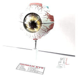 Scifa Educational Human Eye Ball Model Biology Medical Study, Teacher's Learning and School Lab Material - Laboratorydeal