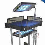 Scifa  LED PHOTOTHREAPY INFANT LIGHT THERAPY DOUBLE SURFACE WITH BASINET- 