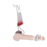 Scifa  Multifunctional Intravenous Injection Arm Model- 