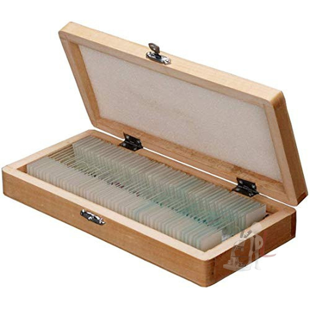 Slide Box 50 Prepared Slides – laboratorydeal