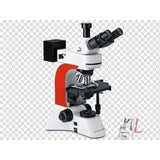 coronavirus microscope- Fluorescent Microscope-A